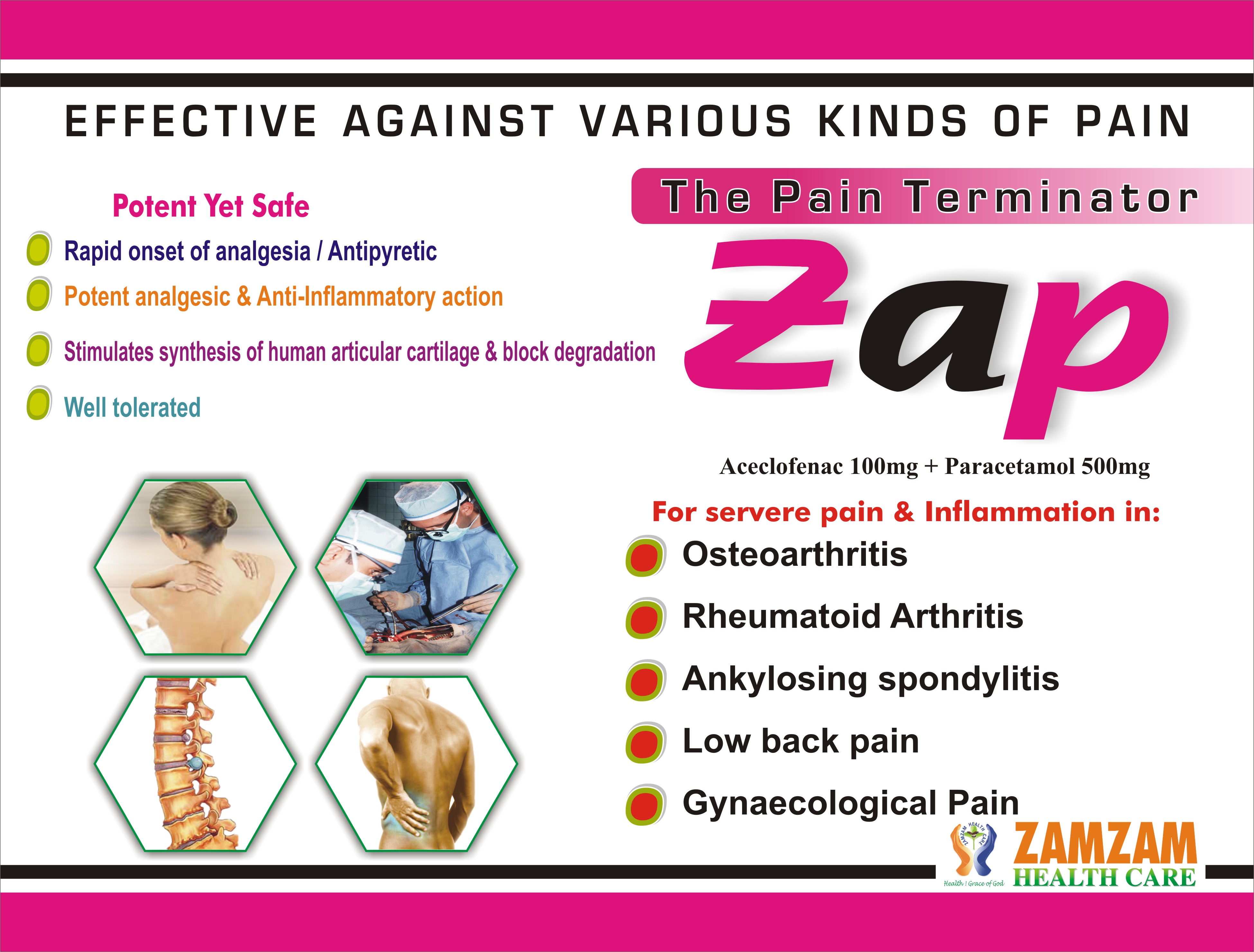 Manufacturers Exporters and Wholesale Suppliers of Pain Terminator ROORKEE. Uttarakhand